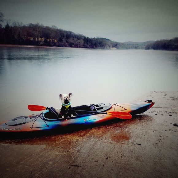 Meet your Posher, Kristina - Picture 1 of 1